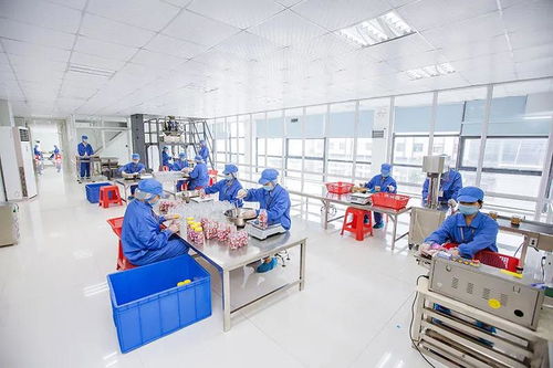 全網絡推廣助力食品OEM定制客戶開發與業績增長